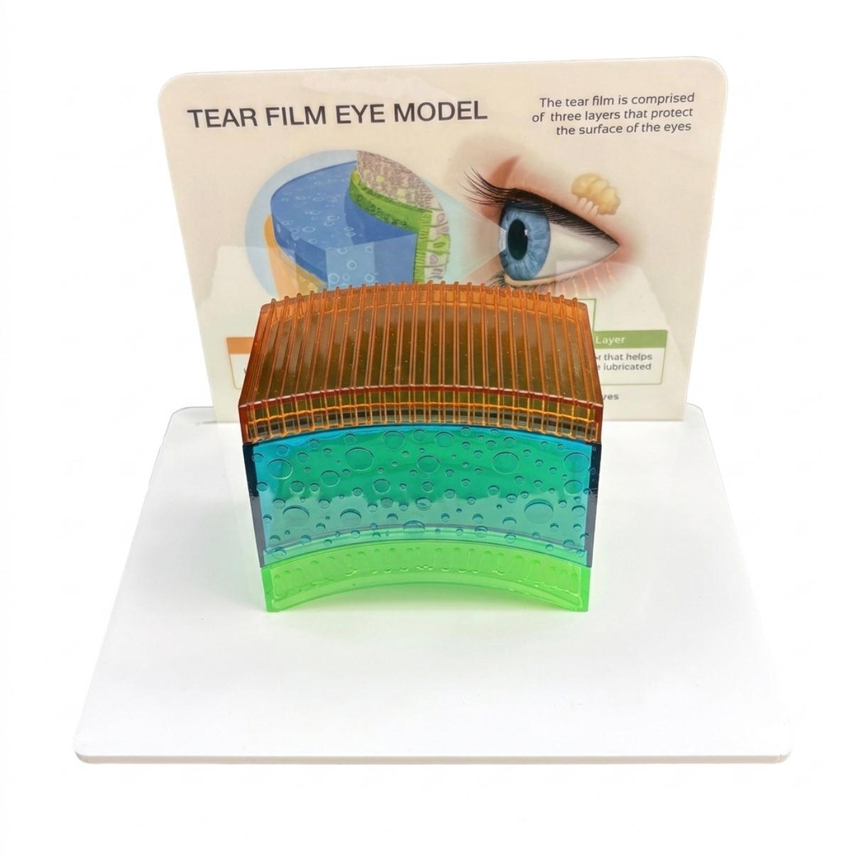 WhatsApp Image 2026-03-27 at 22.36.48